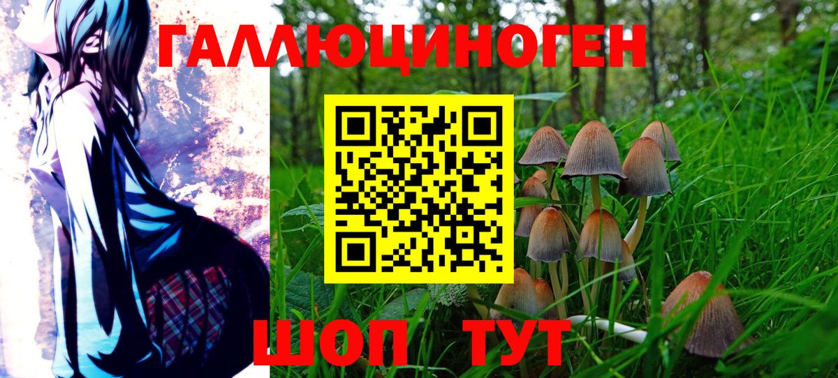 Псилоцибиновые грибы GOLDEN TEACHER Коммунар