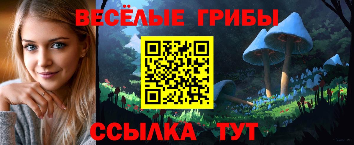Коммунар  Галлюциногенные грибы прущие грибы  даркнет сайт  Вход с VPN 